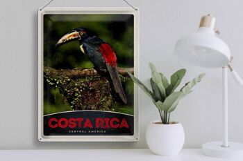 Signe en étain voyage 30x40cm, Costa Rica, amérique centrale, oiseau Nature 3