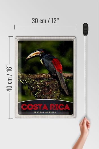 Signe en étain voyage 30x40cm, Costa Rica, amérique centrale, oiseau Nature 4