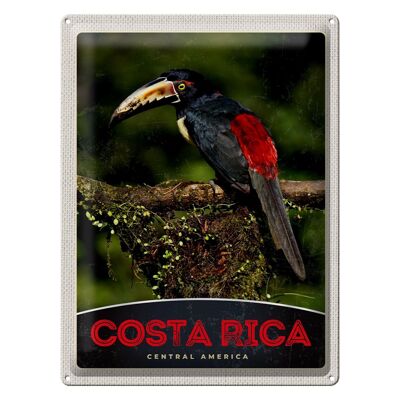 Signe en étain voyage 30x40cm, Costa Rica, amérique centrale, oiseau Nature