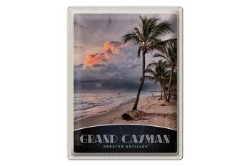 Panneau de voyage en étain, 30x40cm, Grand Cayman, caraïbes, Amérique, île 1