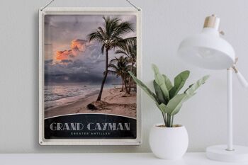 Panneau de voyage en étain, 30x40cm, Grand Cayman, caraïbes, Amérique, île 3