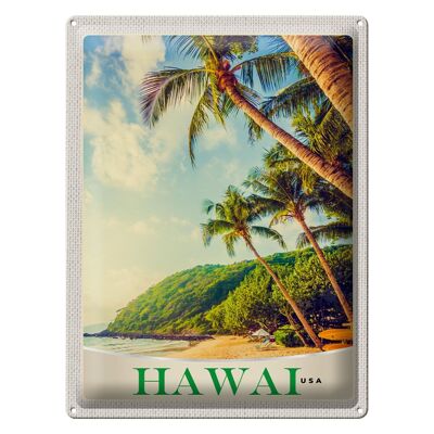 Blechschild Reise 30x40cm Hawaii USA Amerika Insel Strand Meer