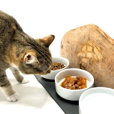 Mangiatoia "Solo gatti" TRIO MOUNTAIN in legno d'ulivo