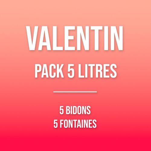 Lot de 5 bidons de 1 litre de parfum