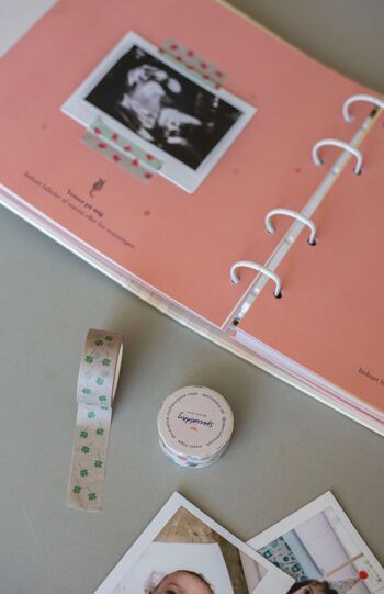 Washi tape – coccinelles 4