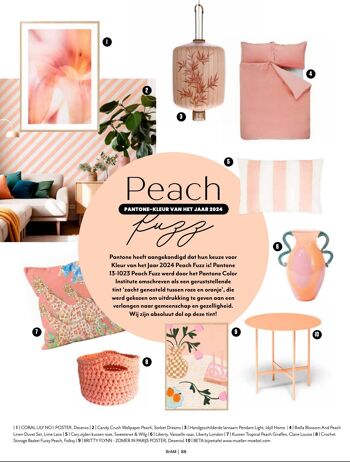 Coussin Girafes Peach Fuzz 3