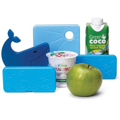BACK TO COOL - set of 4 freezer blocks - bear and/or whale - cold - fresh - summer