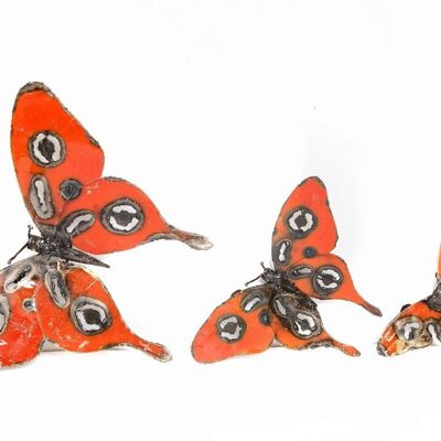 METAL RED BUTTERFLY SET