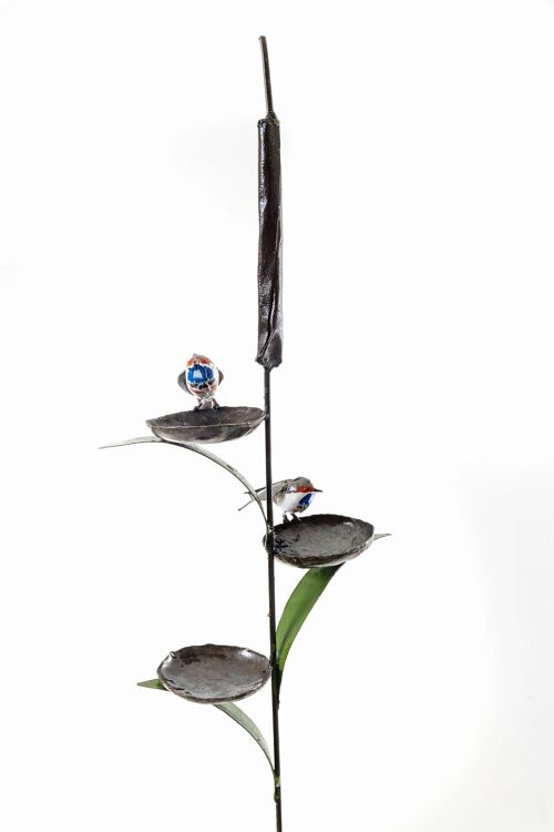 METAL 2 BLUE THROAT CUP BIRDFEEDER ON CATTAIL