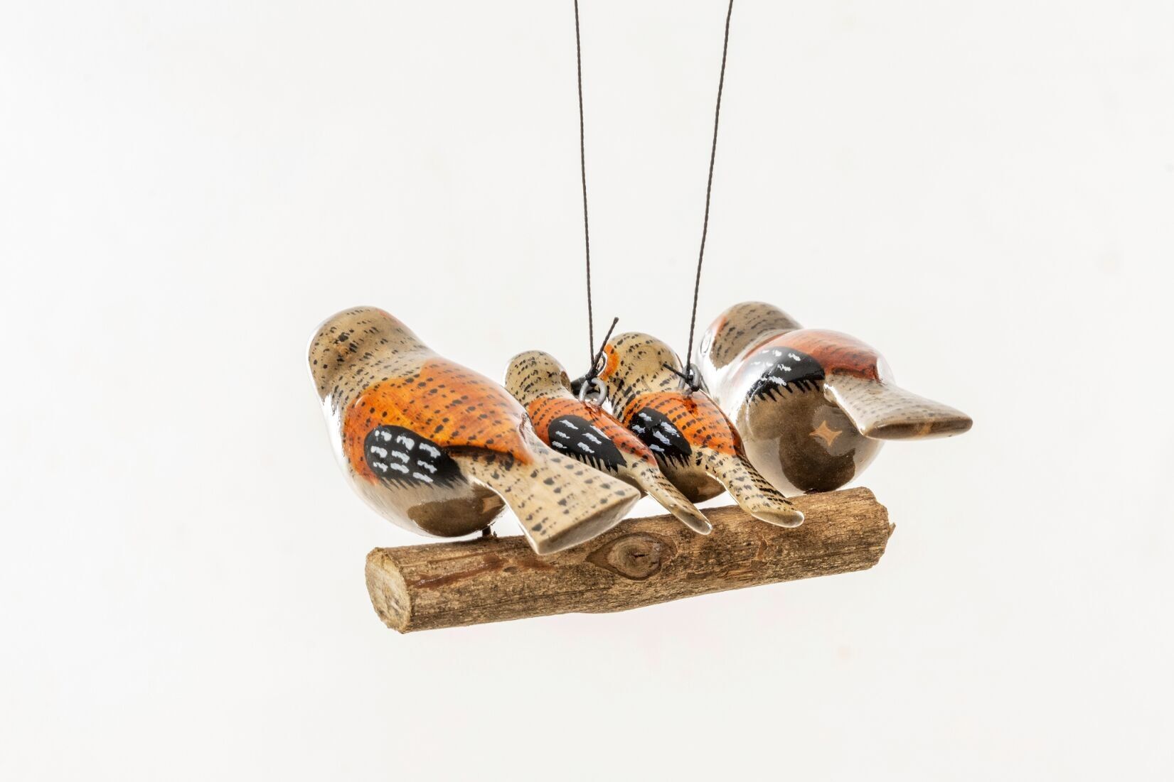 FAMIGLIA DI 4 PASSERI