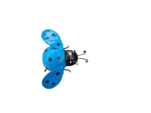 Zimba-Arts METAL BLUE SMALL LADY BIRD