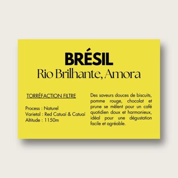 BRÉSIL - Rio Brilhante, Amora, torréfaction filtre 2