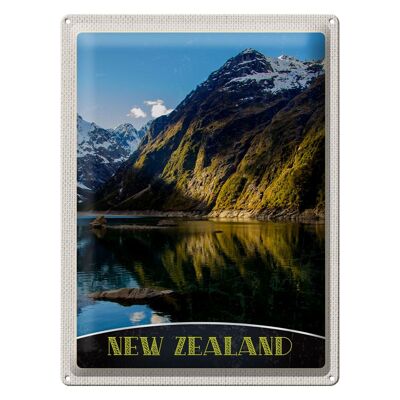Targa in metallo da viaggio 30x40 cm Nuova Zelanda Mare Montagne Natura Vacanza