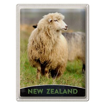 Targa in metallo da viaggio 30x40 cm Nuova Zelanda Europa Sheep Meadow Nature