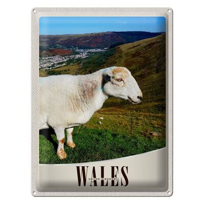 Blechschild Reise 30x40cm Wales United Kingdom Schaf Wiese Natur