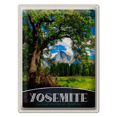 Targa in metallo da viaggio 30x40 cm Yosemite America Natura Alberi Montagne