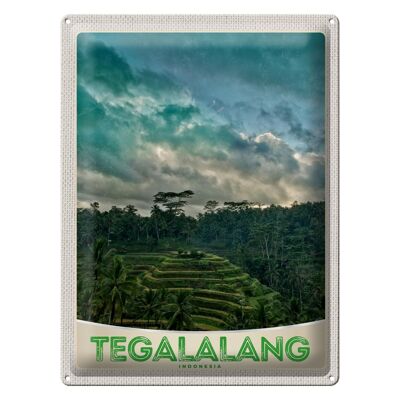 Cartel de chapa de viaje, 30x40cm, Tegalalang, Indonesia, Asia, trópicos