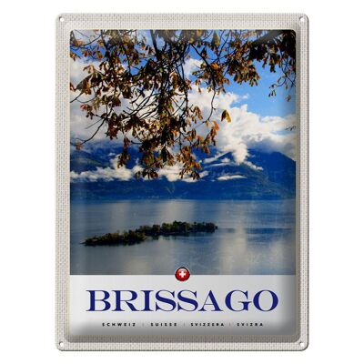 Cartel de chapa viaje 30x40cm Brissago Suiza vista al lago naturaleza