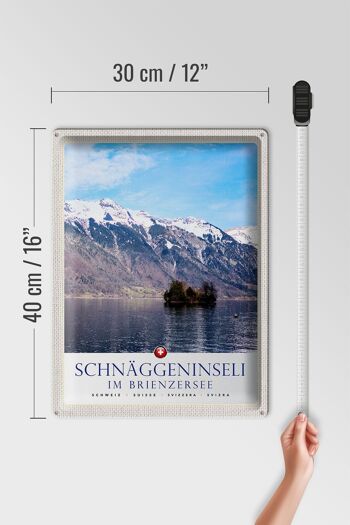 Plaque en tôle Voyage 30x40cm Schnäggeninsel à Brienzeresee Suisse 4