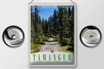 Panneau en étain voyage 30x40cm, Tamangur suisse, arbres forestiers naturels 2