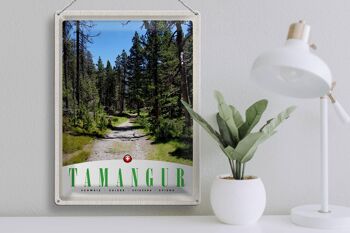 Panneau en étain voyage 30x40cm, Tamangur suisse, arbres forestiers naturels 3