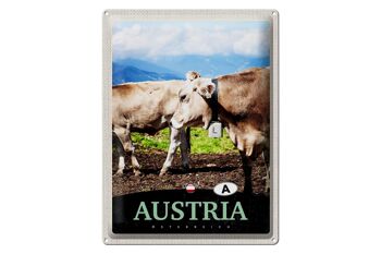 Signe en étain voyage 30x40cm, Autriche vaches pâturage Nature 1