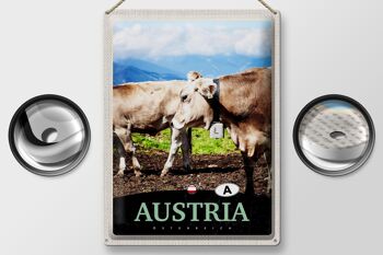 Signe en étain voyage 30x40cm, Autriche vaches pâturage Nature 2