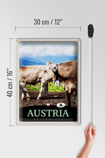Signe en étain voyage 30x40cm, Autriche vaches pâturage Nature 4