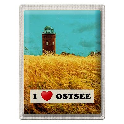 Cartel de chapa de viaje, 30x40cm, torre del mar Báltico, naturaleza, sauce, cielo festivo
