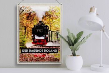 Plaque en tôle Voyage 30x40cm Rügen la locomotive Roland de course 3