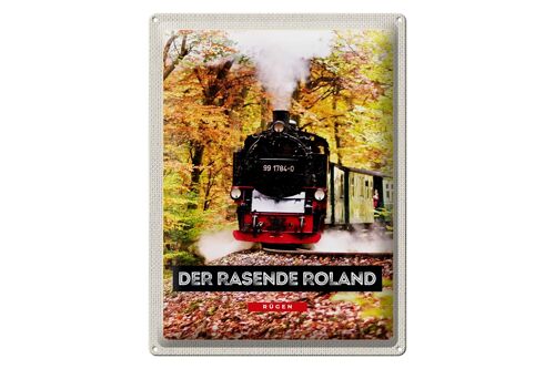 Blechschild Reise 30x40cm Rügen der rasende Roland Lokomotive