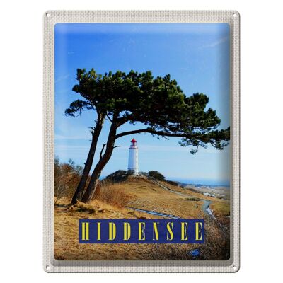 Cartel de chapa viaje 30x40cm Hiddensee faro árbol prado prado