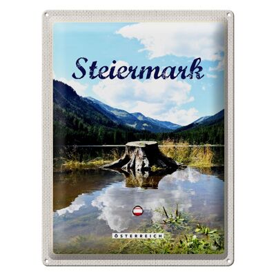 Targa in metallo da viaggio 30x40 cm Stiria Austria Lago Foresta Montagna