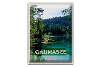 Panneau en étain voyage 30x40cm, lac de Cauma, suisse, montagnes, forêts, Nature 1
