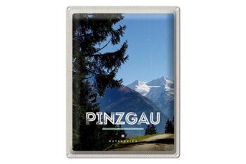 Panneau en étain voyage 30x40cm, forêts de Pinzgau, randonnée naturelle, montagnes 1