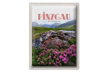 Panneau en étain voyage 30x40cm, Pinzgau autriche, fleurs, montagnes naturelles 1