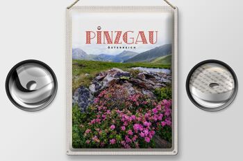 Panneau en étain voyage 30x40cm, Pinzgau autriche, fleurs, montagnes naturelles 2