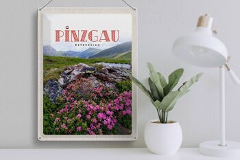 Panneau en étain voyage 30x40cm, Pinzgau autriche, fleurs, montagnes naturelles 3