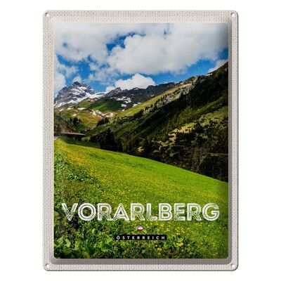 Cartel de chapa Travel 30x40cm Vorarlberg Austria Bosques Naturaleza