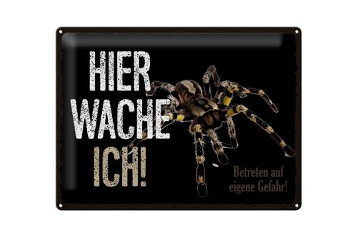 Blechschild Spruch 40x30cm Spinne hier wache ich eigene Gefahr