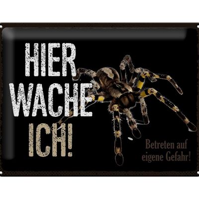 Blechschild Spruch 40x30cm Spinne hier wache ich eigene Gefahr