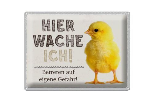 Blechschild Spruch 40x30cm Küken hier wache ich eigene Gefahr