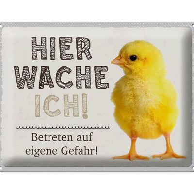 Blechschild Spruch 40x30cm Küken hier wache ich eigene Gefahr