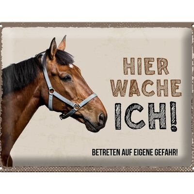 Blechschild Spruch 40x30cm Pferd von Links hier wache ich eigene Gefahr