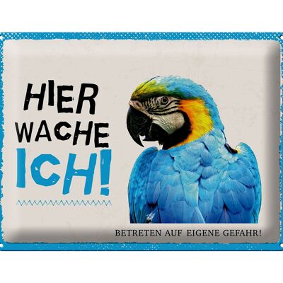 Blechschild Spruch 40x30cm Papagei hier wache ich eigene Gefahr