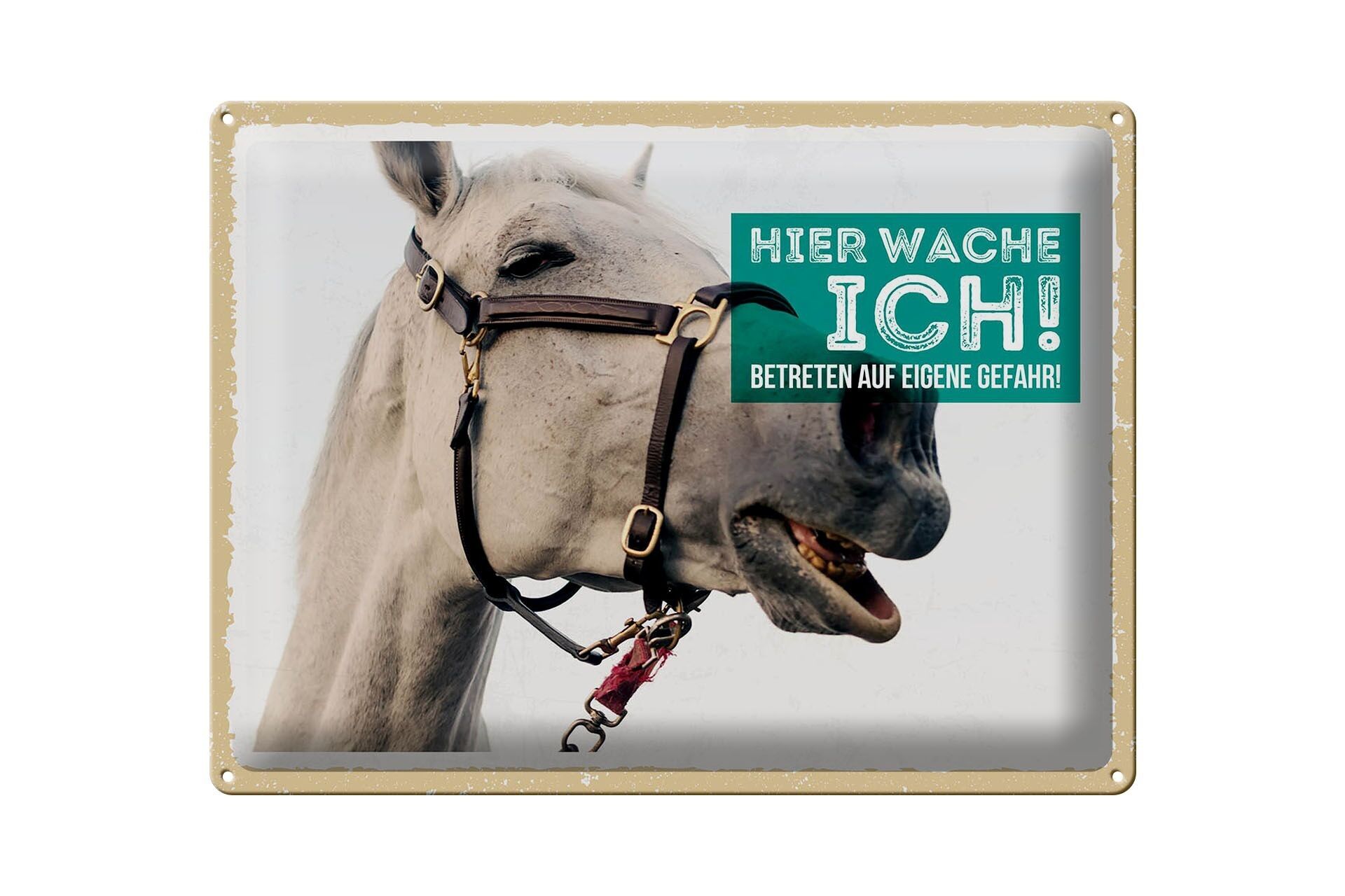 Targa in latta con scritta "Stampo di cavallo" 40x30 cm, qui guardo