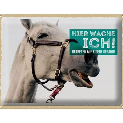 Blechschild Spruch 40x30cm Pferd Schimmel hier wache ich