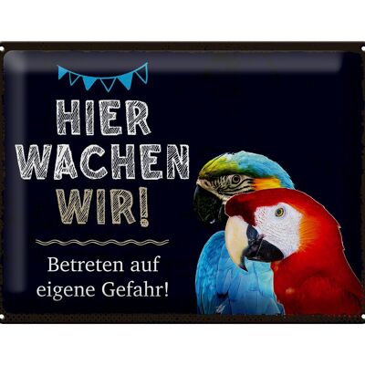 Blechschild Spruch 40x30cm Papageien hier wachen wir