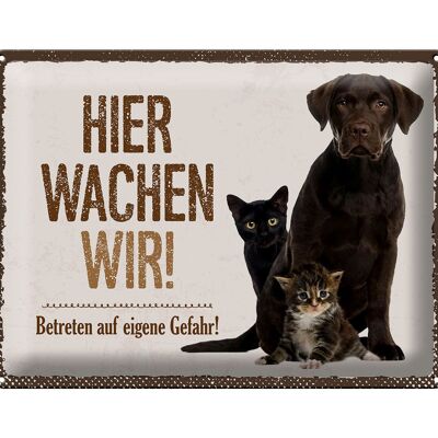 Tin sign saying 40x30cm animals dog cats here we watch