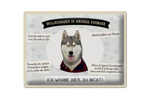 Blechschild Spruch 40x30cm Tiere Husky willkommen wohne hier